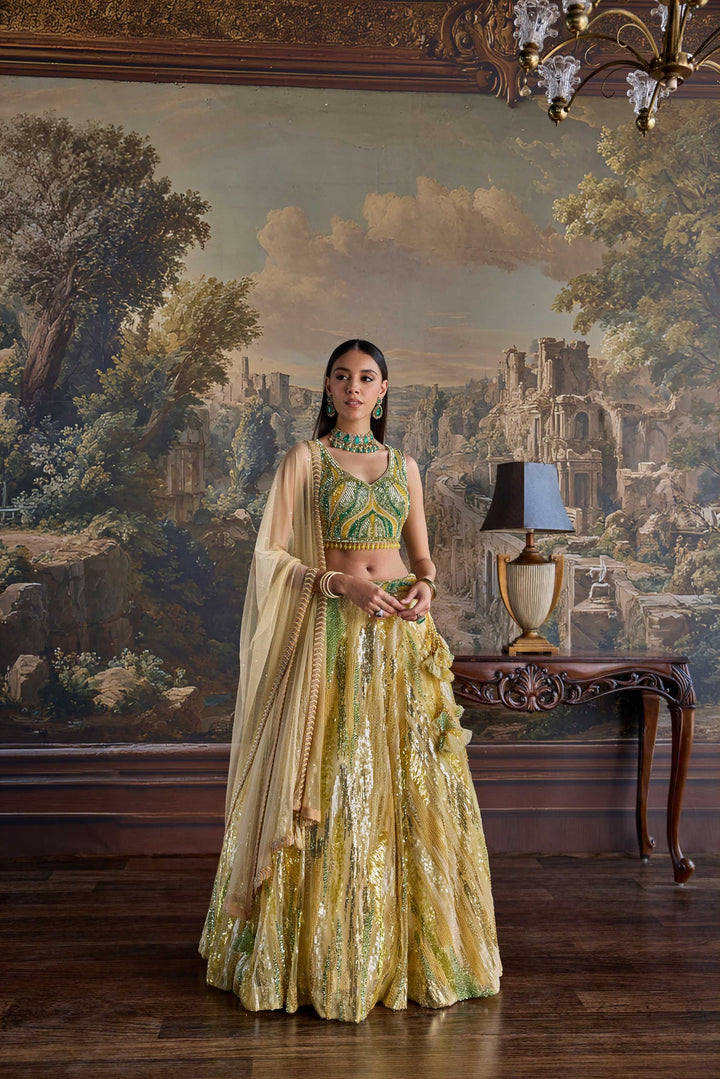 Neerus Yellow net embellished lehenga set - front view