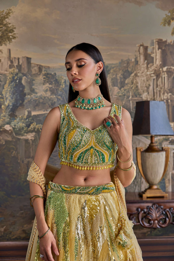 Neerus Yellow net embellished lehenga set - back view