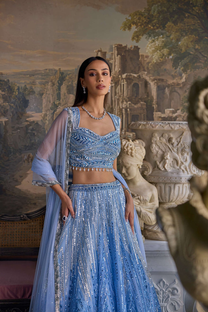 Neerus Blue net hand embroidered lehenga set - back view