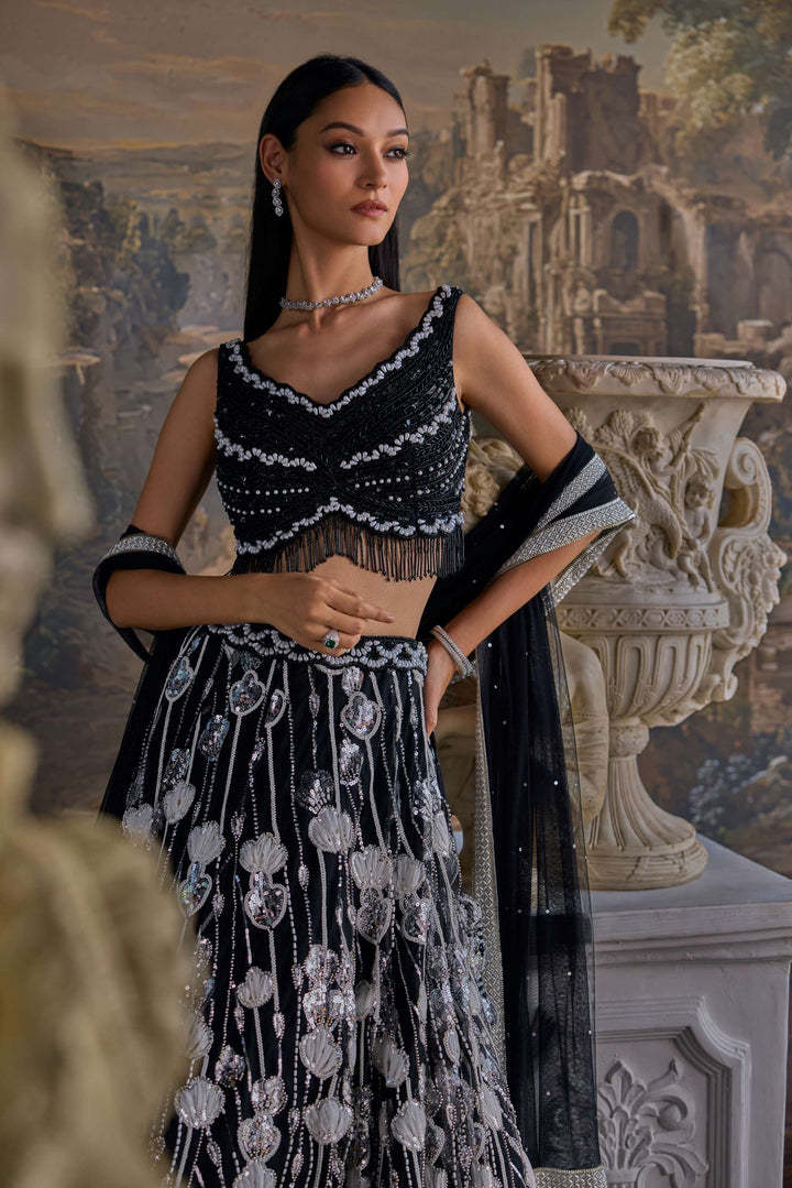 Neerus Black net hand embroidered lehenga set - detail view 1