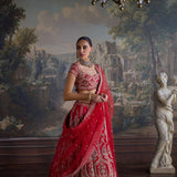 Red Bridal Silk Hand Embroidered Ghagra Set