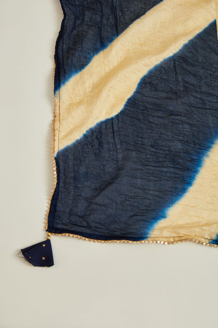 Neerus Blue embroidered suit set with trouser and dupatta - detail view 5
