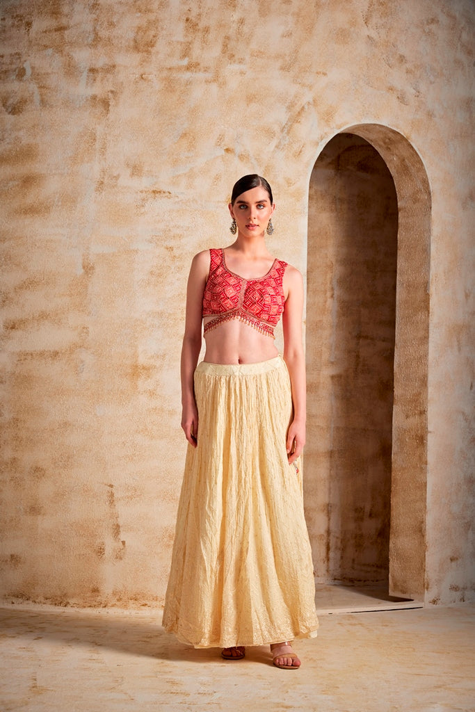 Neerus Beige georgette flared lehenga set - back view