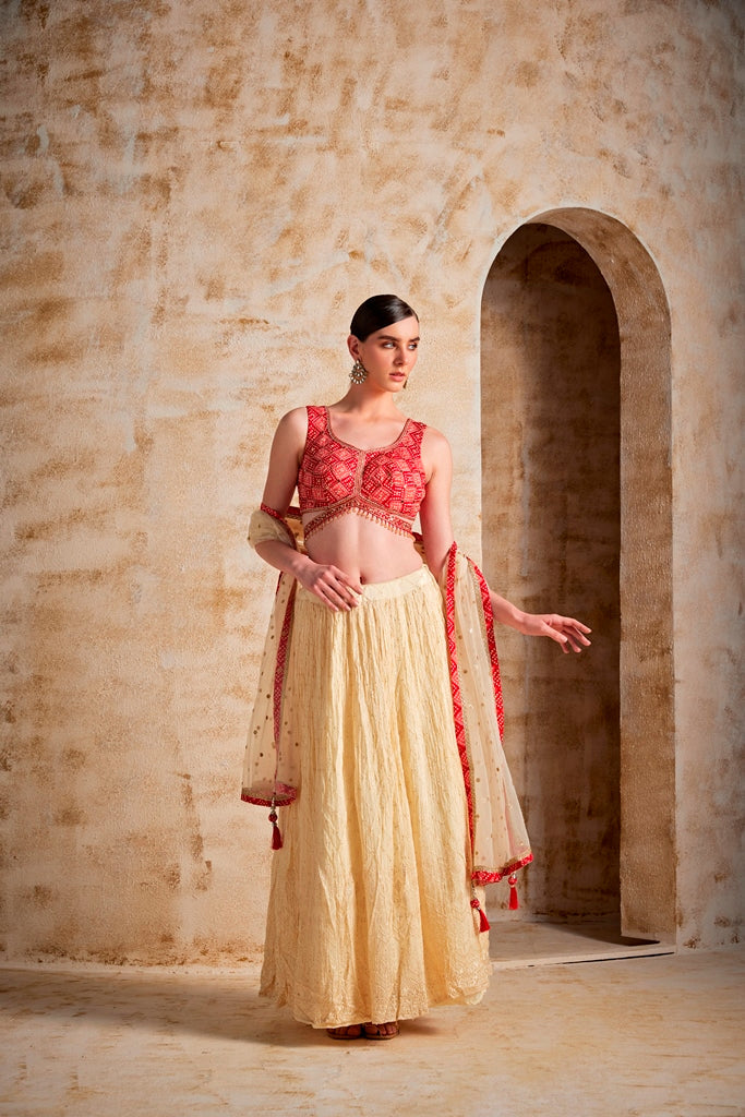 Neerus Beige georgette flared lehenga set - front view