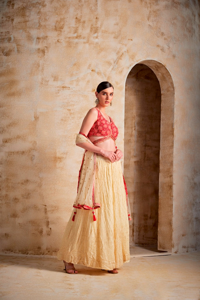 Neerus Beige georgette flared lehenga set - side view