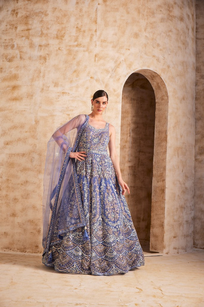 Neerus Blue Color Nett Fabric Gown