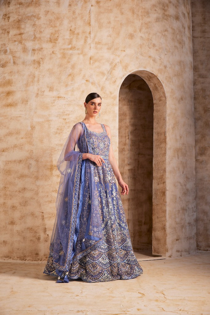 Neerus Blue Color Nett Fabric Gown