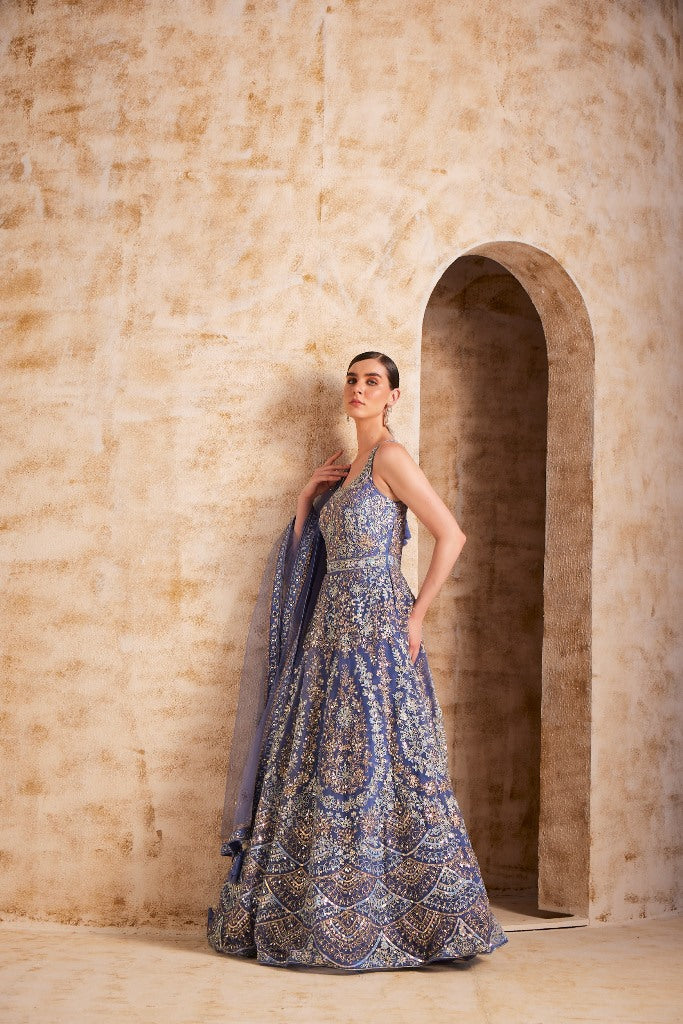 Neerus Blue Color Nett Fabric Gown