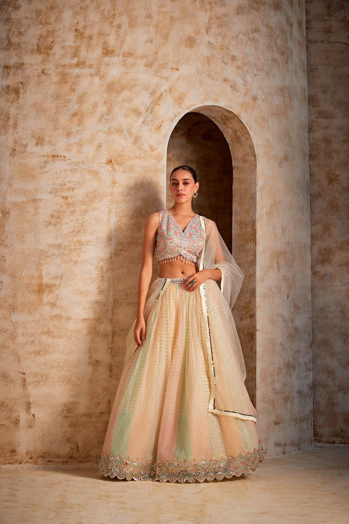 Neerus White net embellished lehenga set - front view