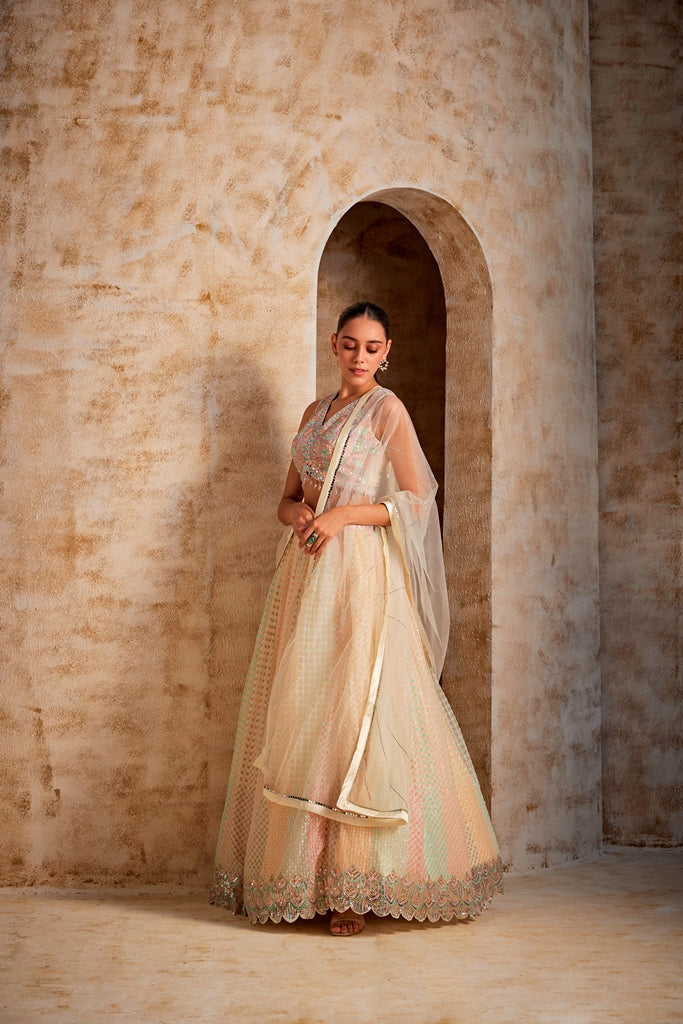 Neerus White net embellished lehenga set - back view