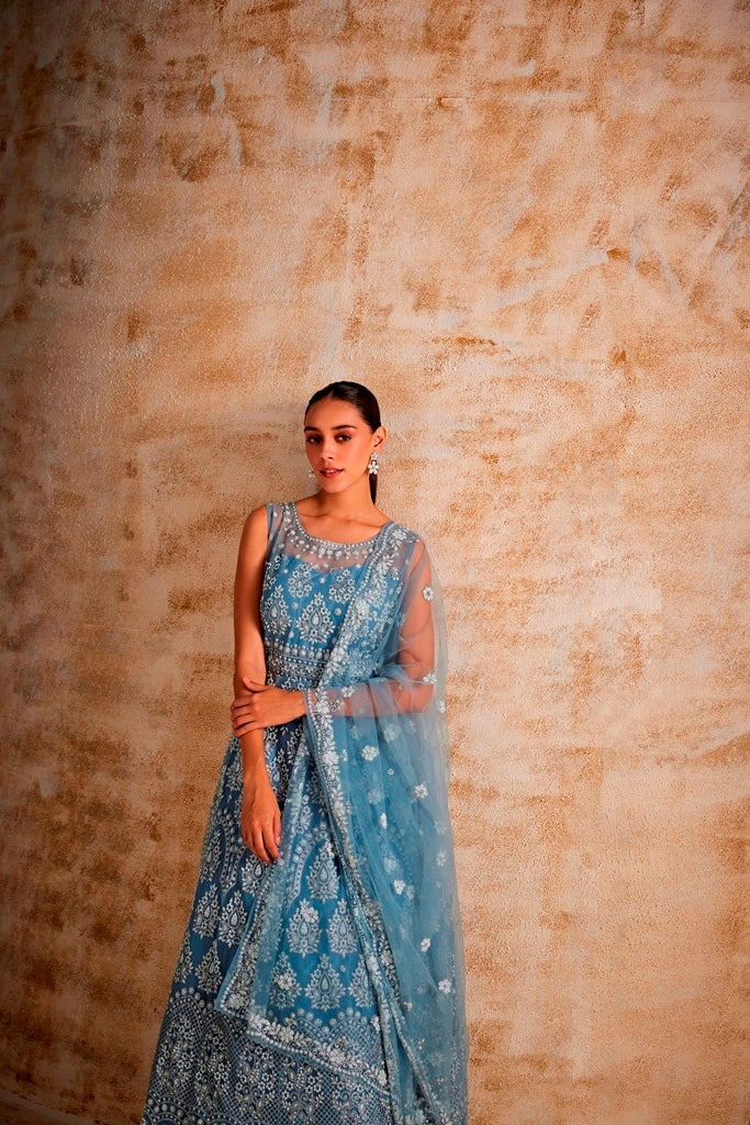 Neerus Blue georgette embroidered gown - front view