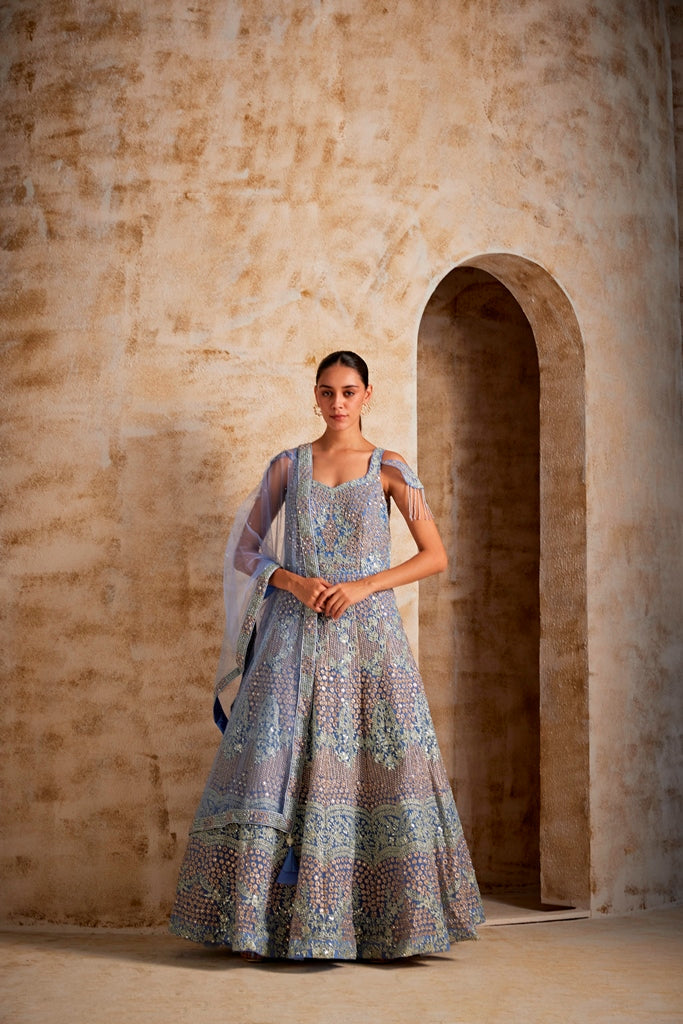 Neerus Purple net embroidered gown - front view