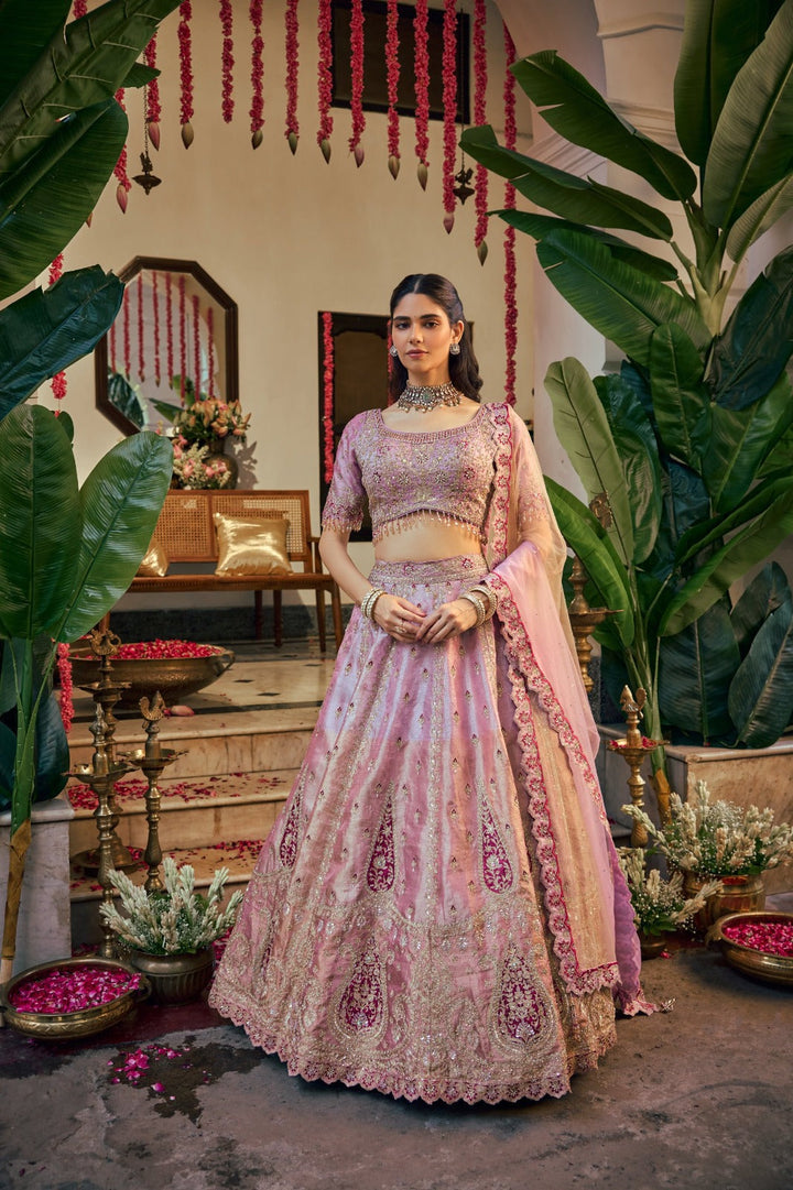 Onion Tissue Zari Embroidery Ghagra Set