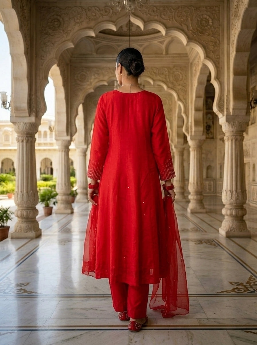 Neerus Pink Organza Embellished Suit Set - back view
