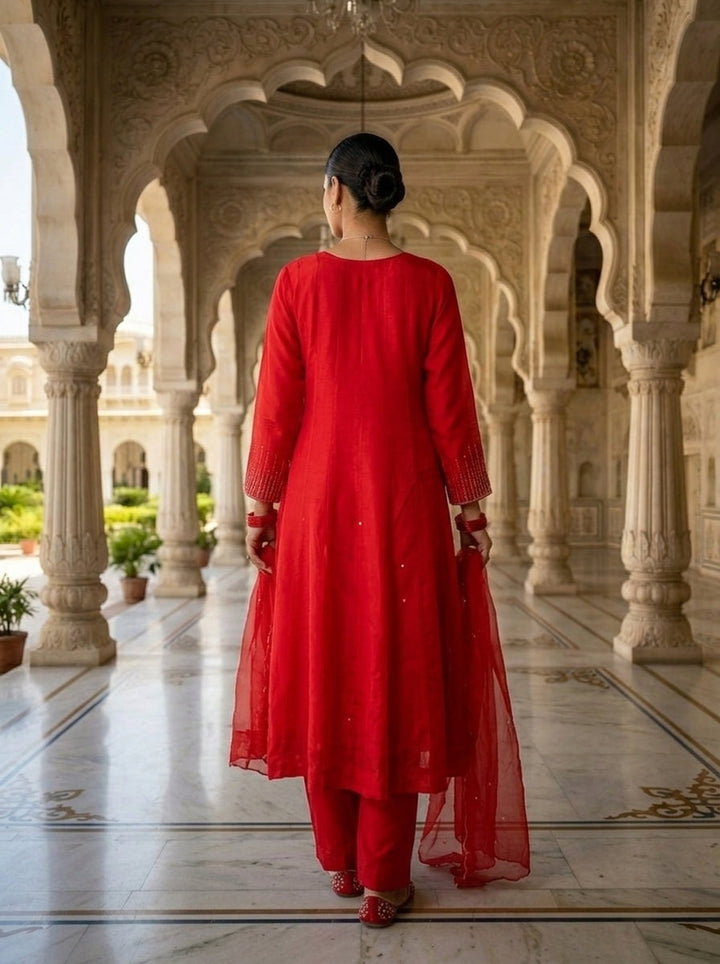 Neerus Pink Organza Embellished Suit Set - back view
