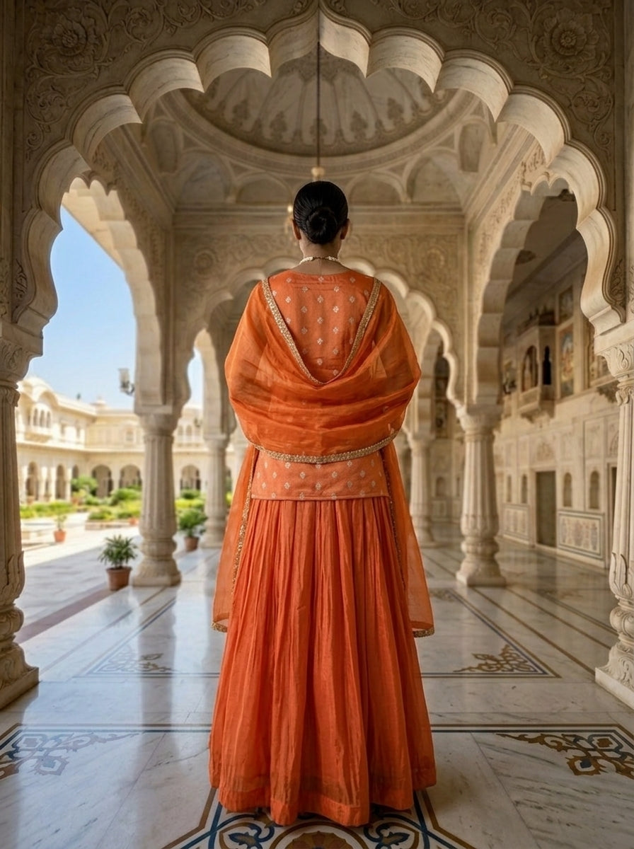 Neerus Pink tissue embellished lehenga set - back view