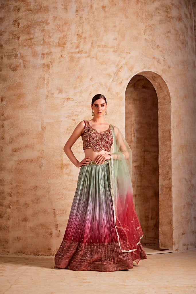 Neerus Maroon embroidered flared lehenga set - front view