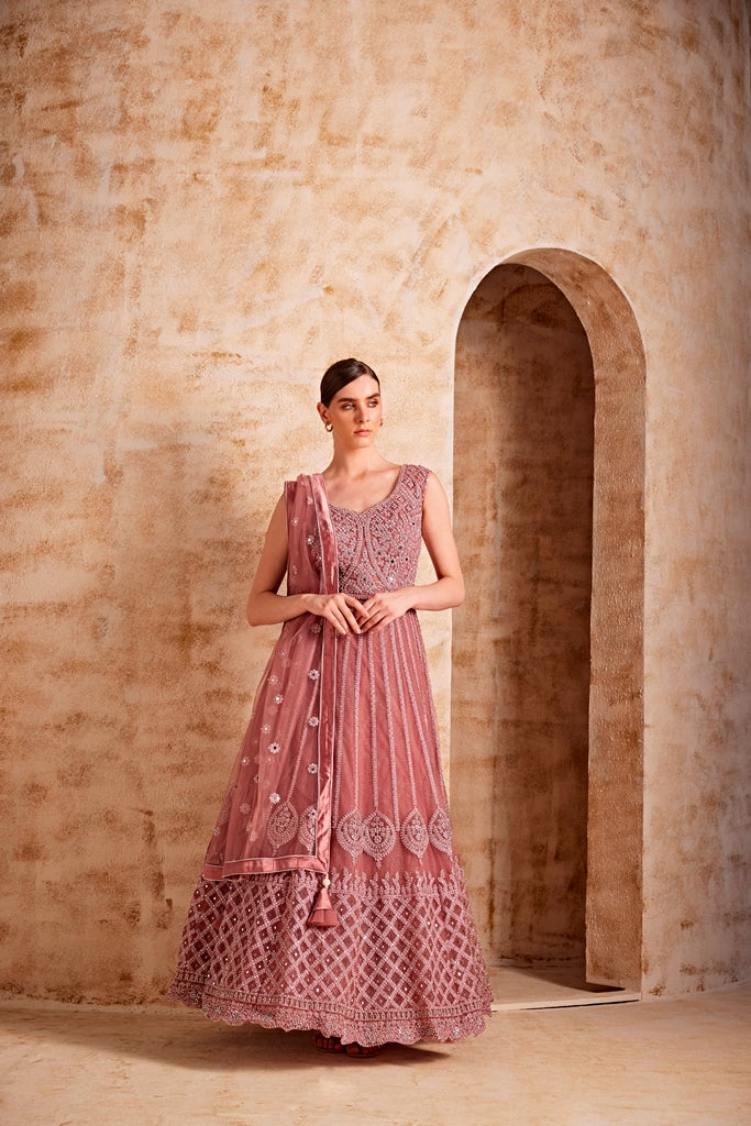 Neerus Pink net embellished gown - front view