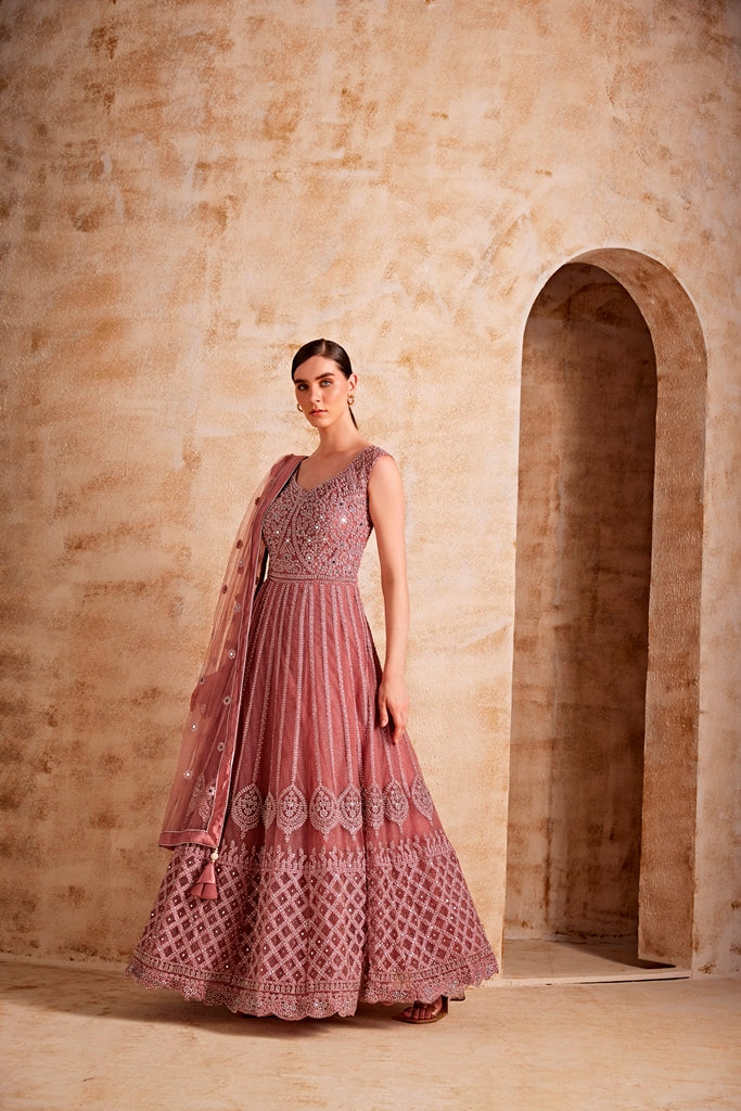 Neerus Pink net embellished gown - back view