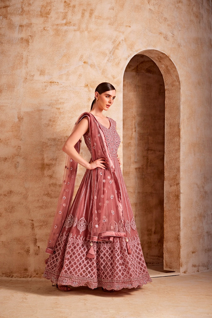 Neerus Pink net embellished gown - side view