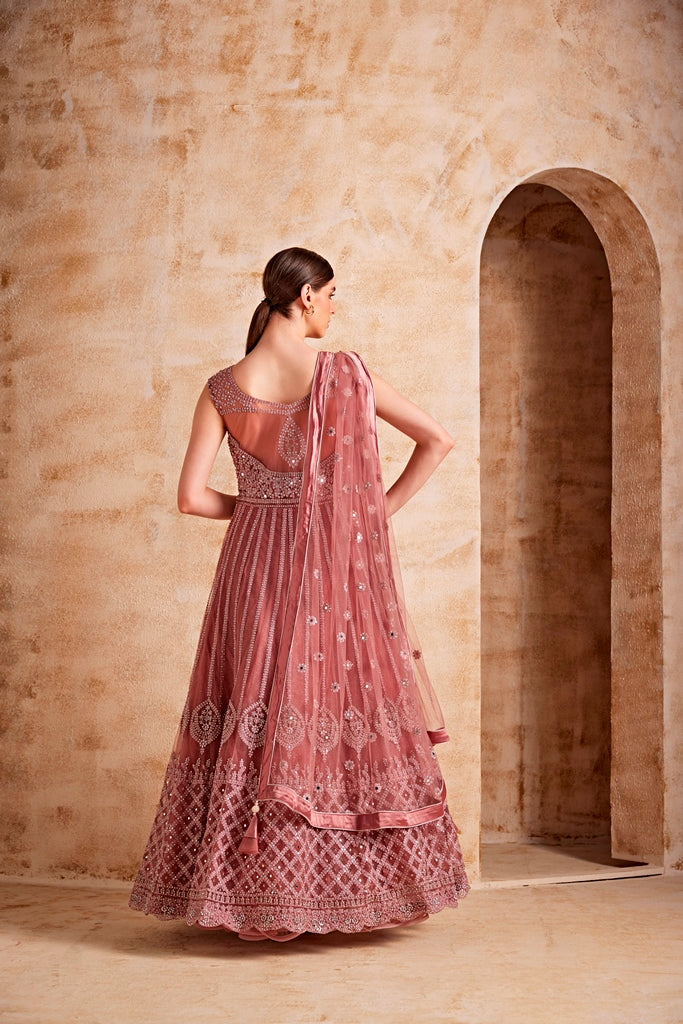 Neerus Pink net embellished gown - detail view 1