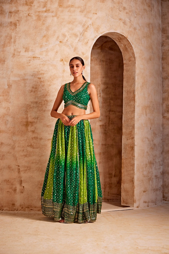 Neerus Green crepe flared lehenga set - front view