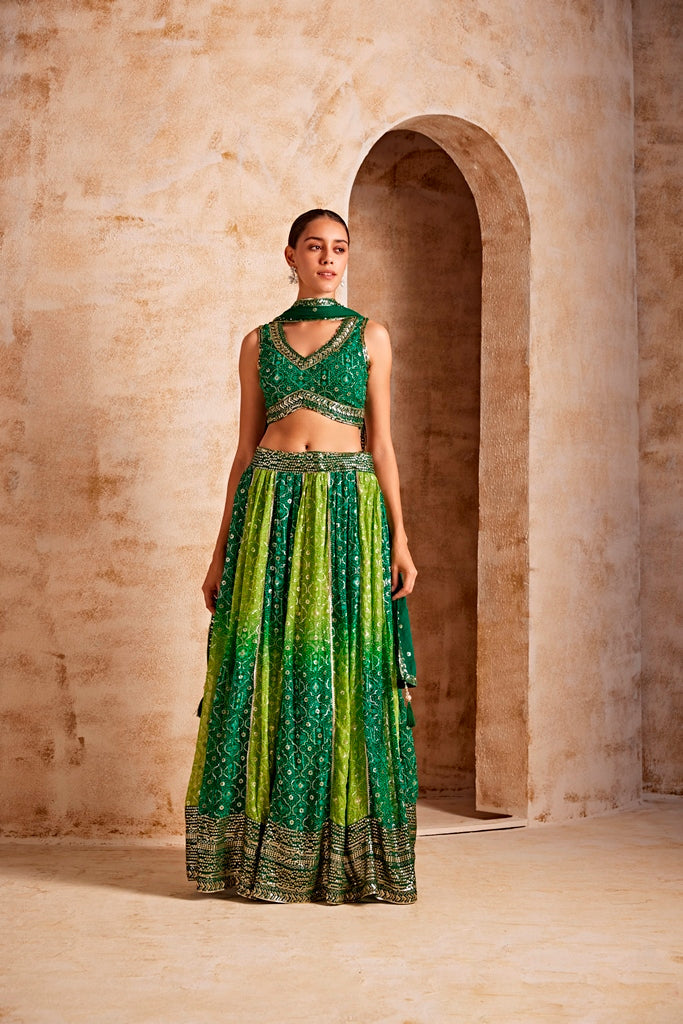 Neerus Green crepe flared lehenga set - back view