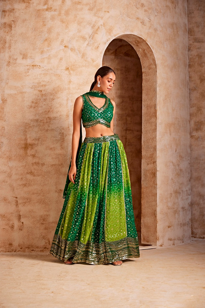 Neerus Green crepe flared lehenga set - side view