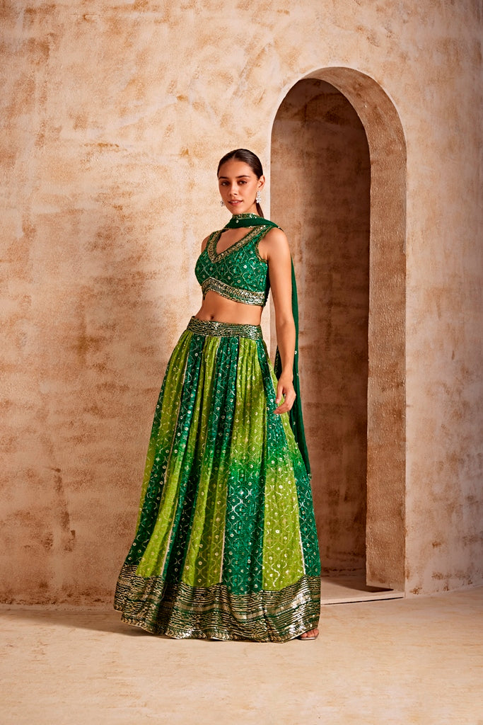 Neerus Green crepe flared lehenga set - detail view 1