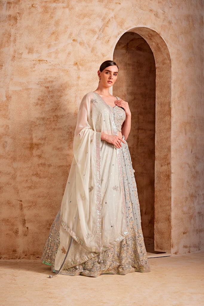 Neerus Grey net embellished lehenga set - front view