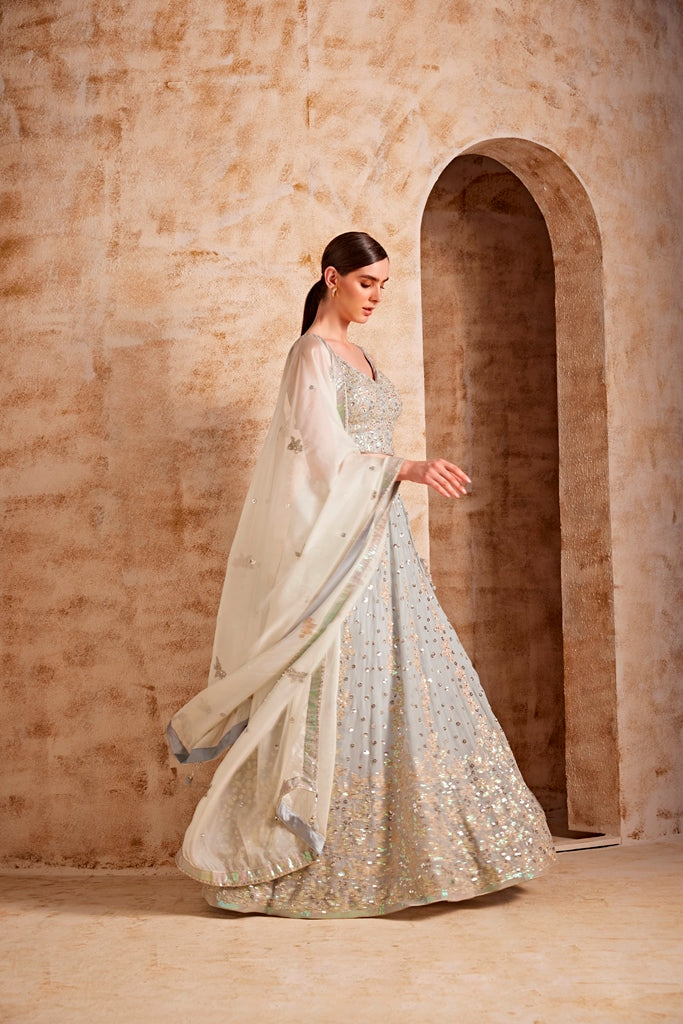 Neerus Grey net embellished lehenga set - detail view 1