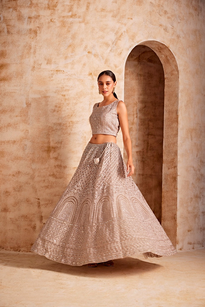 Neerus Beige net embellished lehenga ghagra set - back view