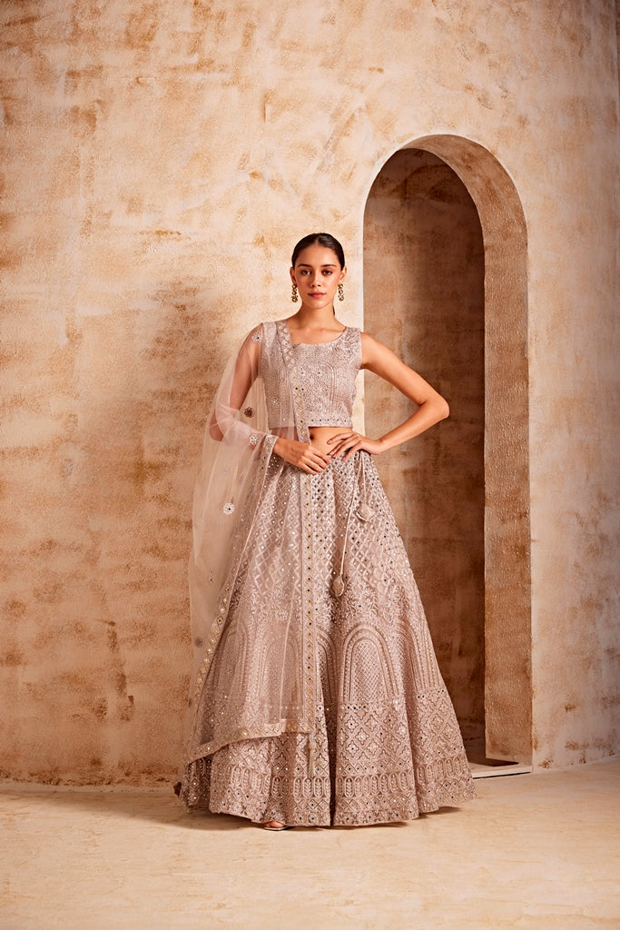 Neerus Beige net embellished lehenga ghagra set - front view