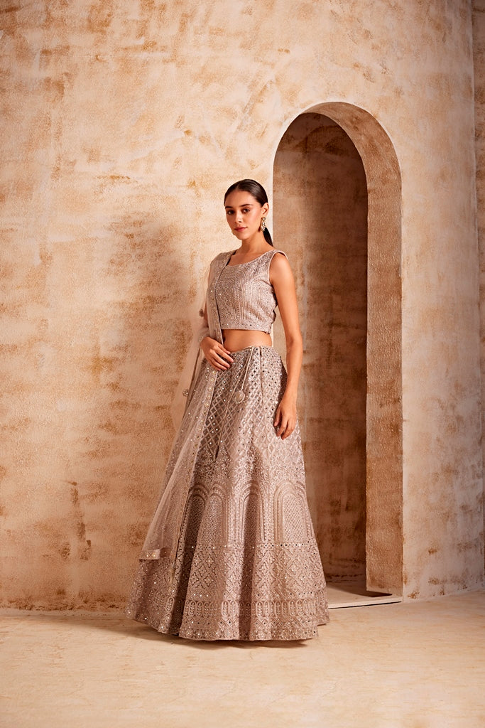 Neerus Beige net embellished lehenga ghagra set - side view
