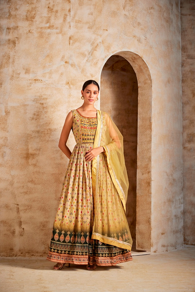 Neerus Yellow Banarasi woven gown - front view
