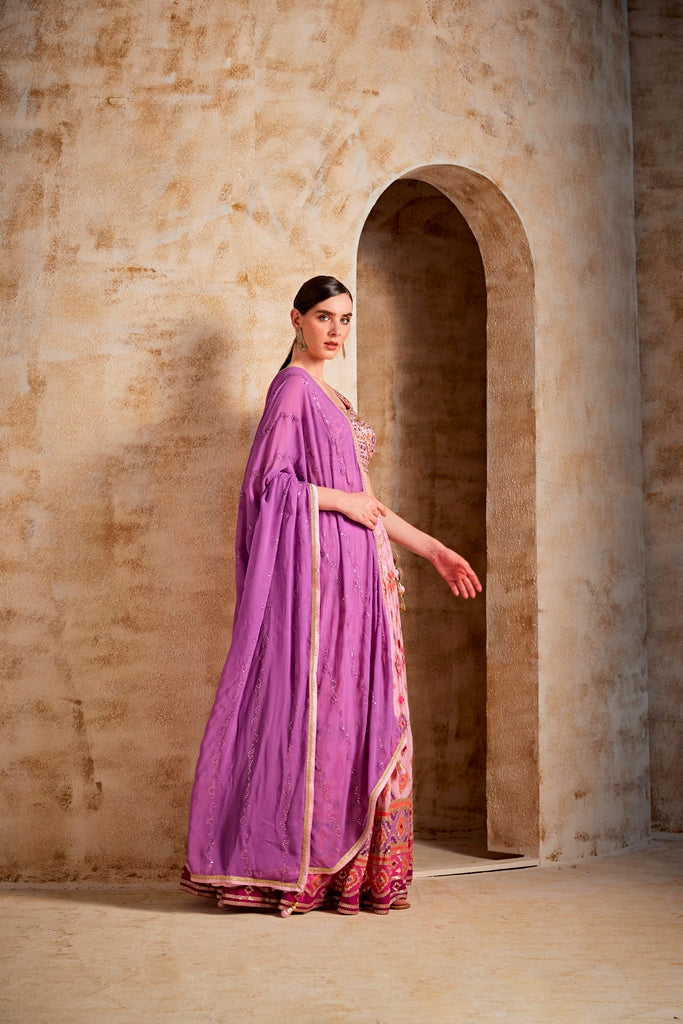Neerus Pink Banarasi woven lehenga set - detail view 1
