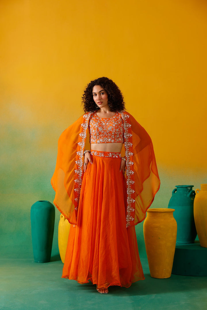 Neerus Orange organza embroidered lehenga set - detail view 5