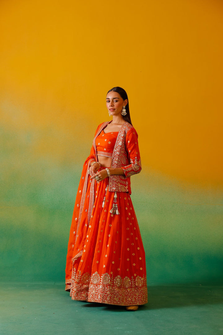 Neerus Orange organza embroidered lehenga ghagra set - detail view 10