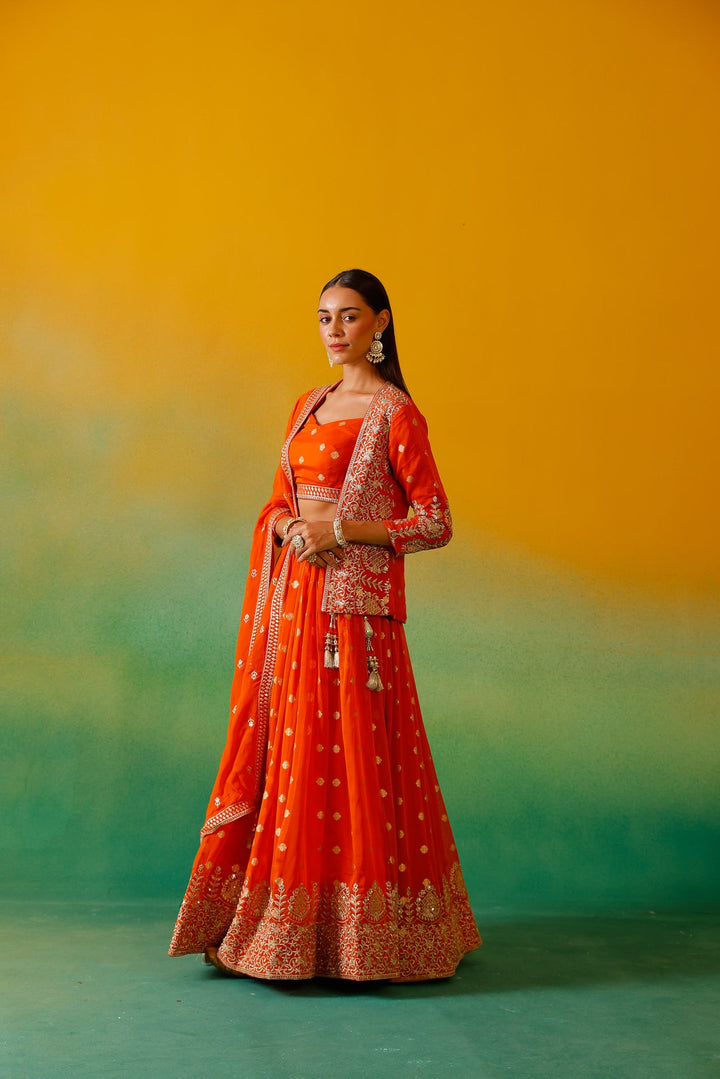 Neerus Orange organza embroidered lehenga ghagra set - back view