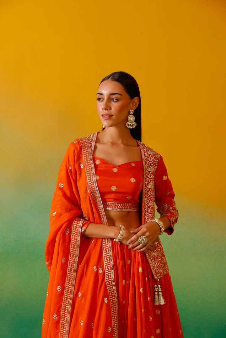 Neerus Orange organza embroidered lehenga ghagra set - detail view 2