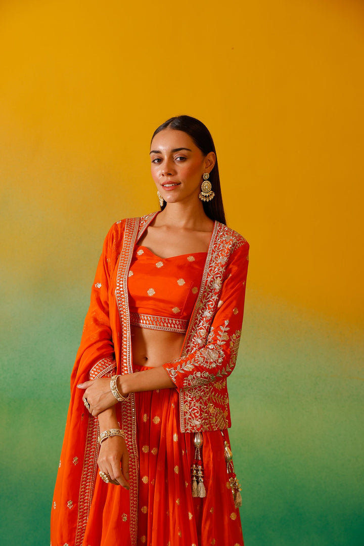 Neerus Orange organza embroidered lehenga ghagra set - detail view 5