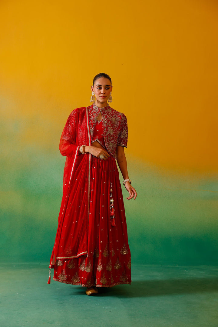 Neerus Red Chinon Embroidered Lehenga Set - detail view 1