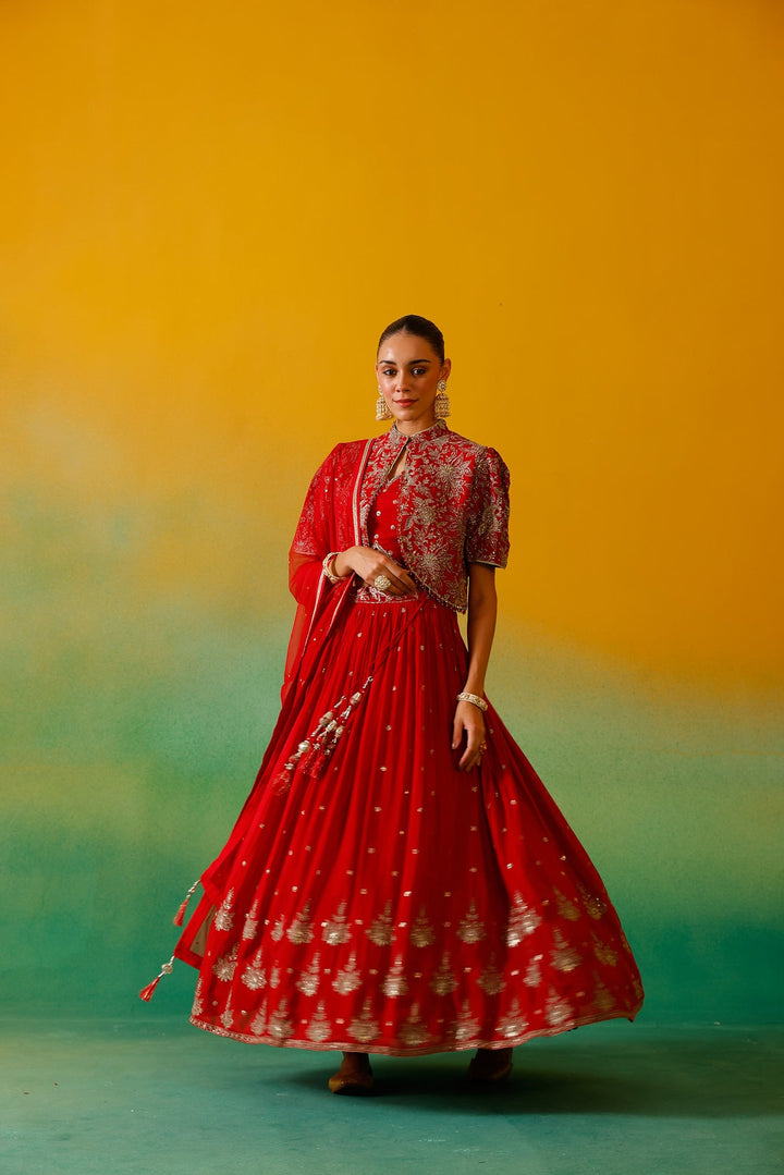 Neerus Red Chinon Embroidered Lehenga Set - detail view 5