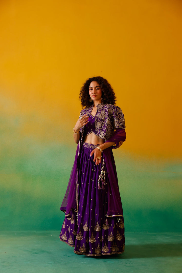 Neerus Purple Chinon embroidered lehenga set - side view