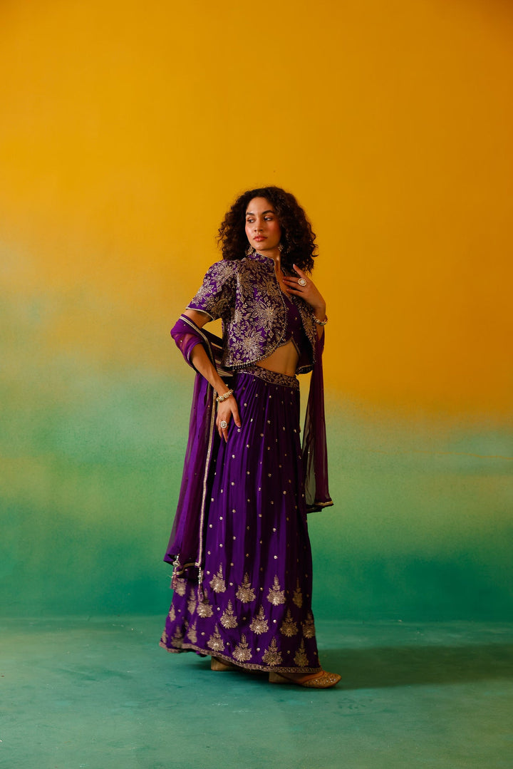 Neerus Purple Chinon embroidered lehenga set - detail view 3