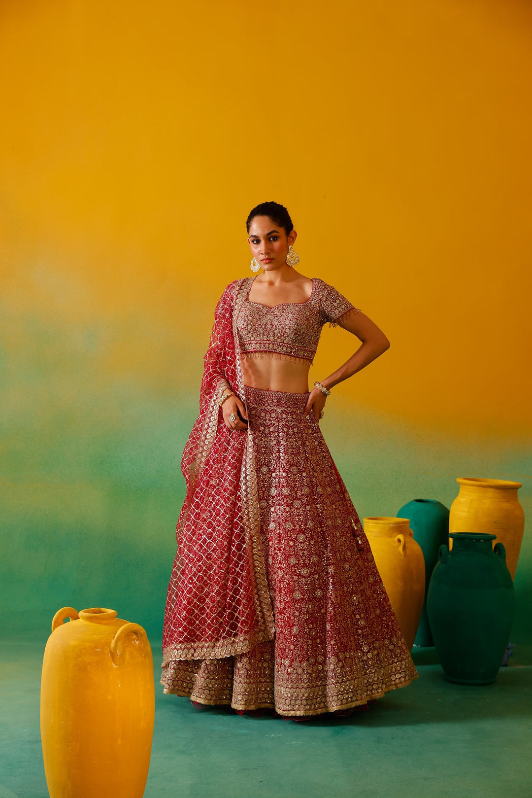 Neerus Pink net embroidered lehenga set - back view