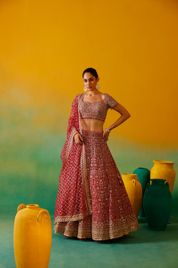 Neerus Pink net embroidered lehenga set - back view