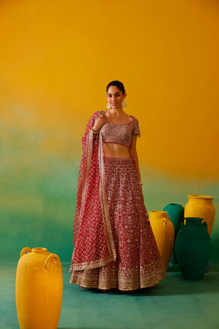 Neerus Pink net embroidered lehenga set - side view