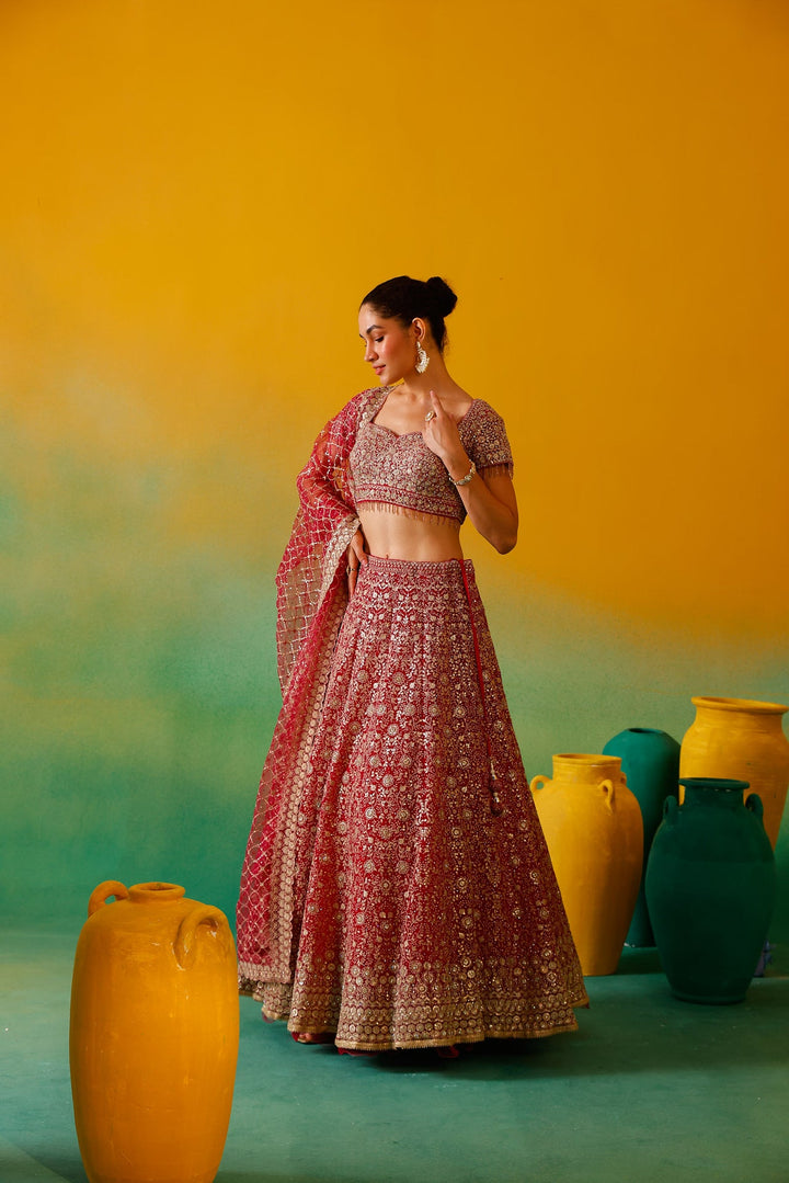 Neerus Pink net embroidered lehenga set - detail view 3