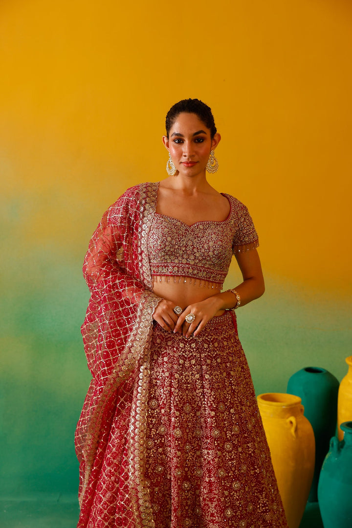 Neerus Pink net embroidered lehenga set - detail view 6